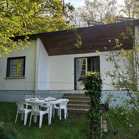 Chalet Au Bord De L'Etang 4 Pers Les Boulmiers 外观 照片