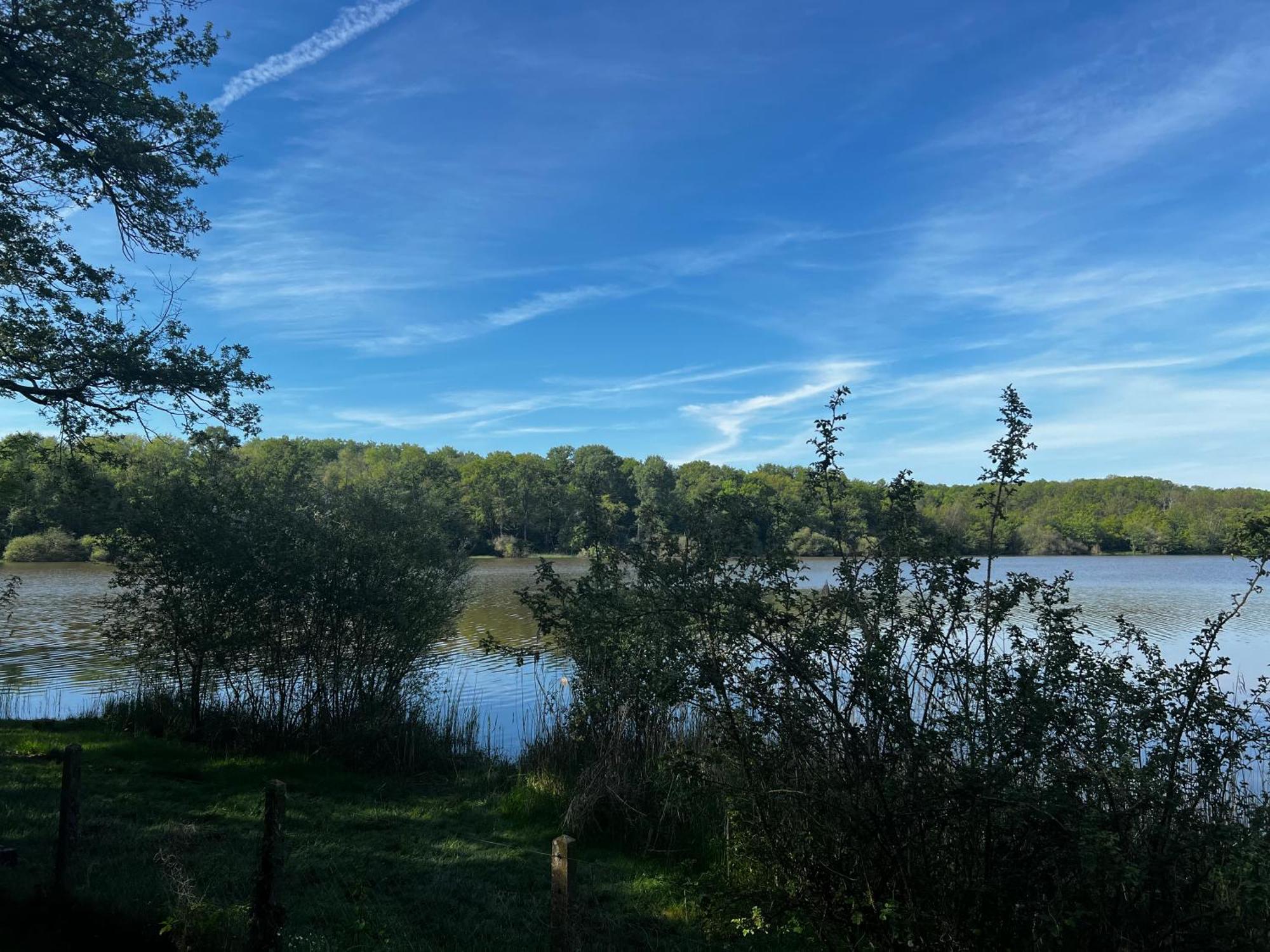 Chalet Au Bord De L'Etang 4 Pers Les Boulmiers 外观 照片