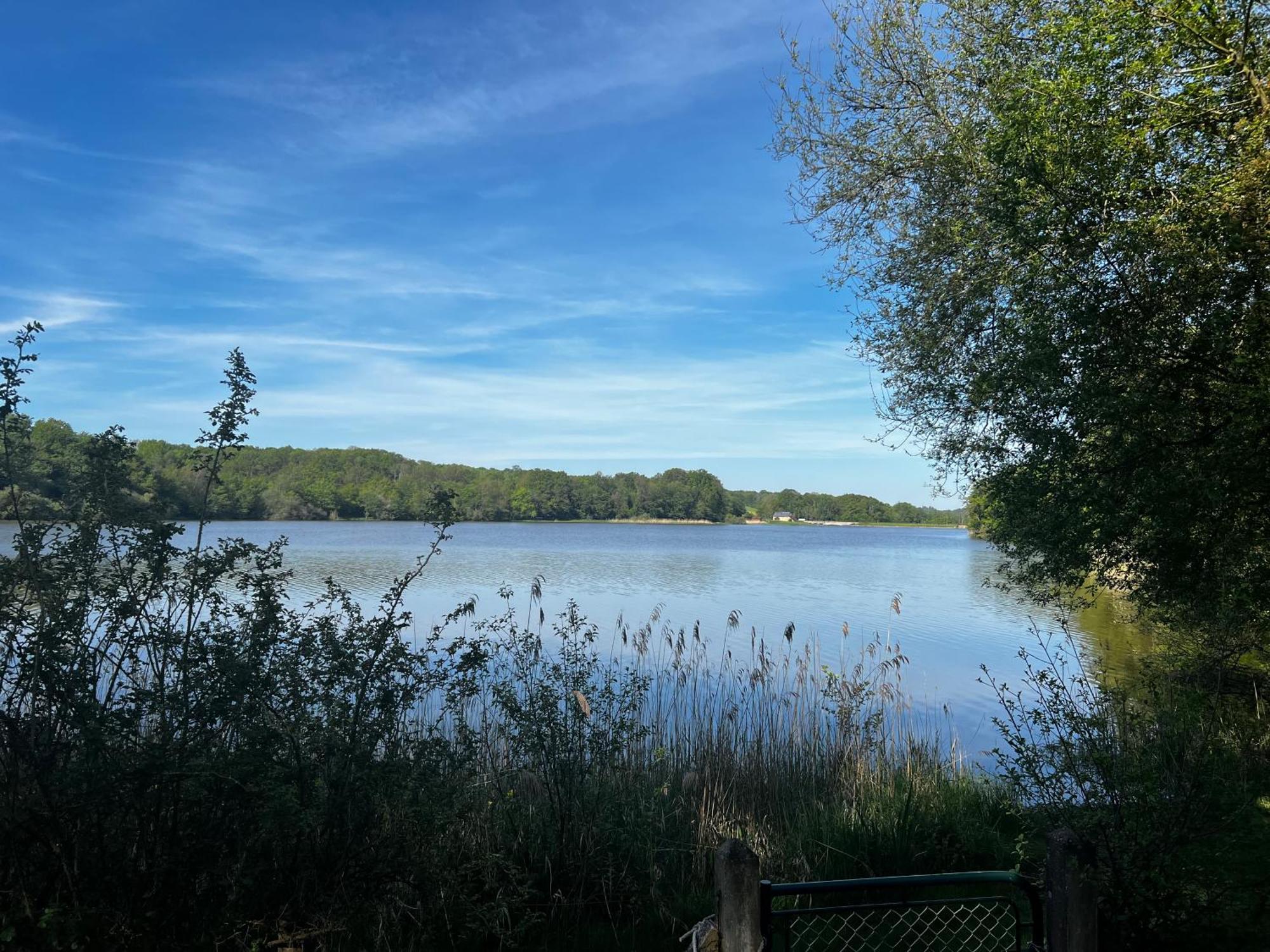 Chalet Au Bord De L'Etang 4 Pers Les Boulmiers 外观 照片